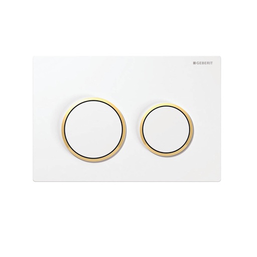 ABS White plate with gold trim