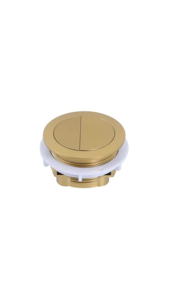 BTW Cistern Brushed Gold Round Button