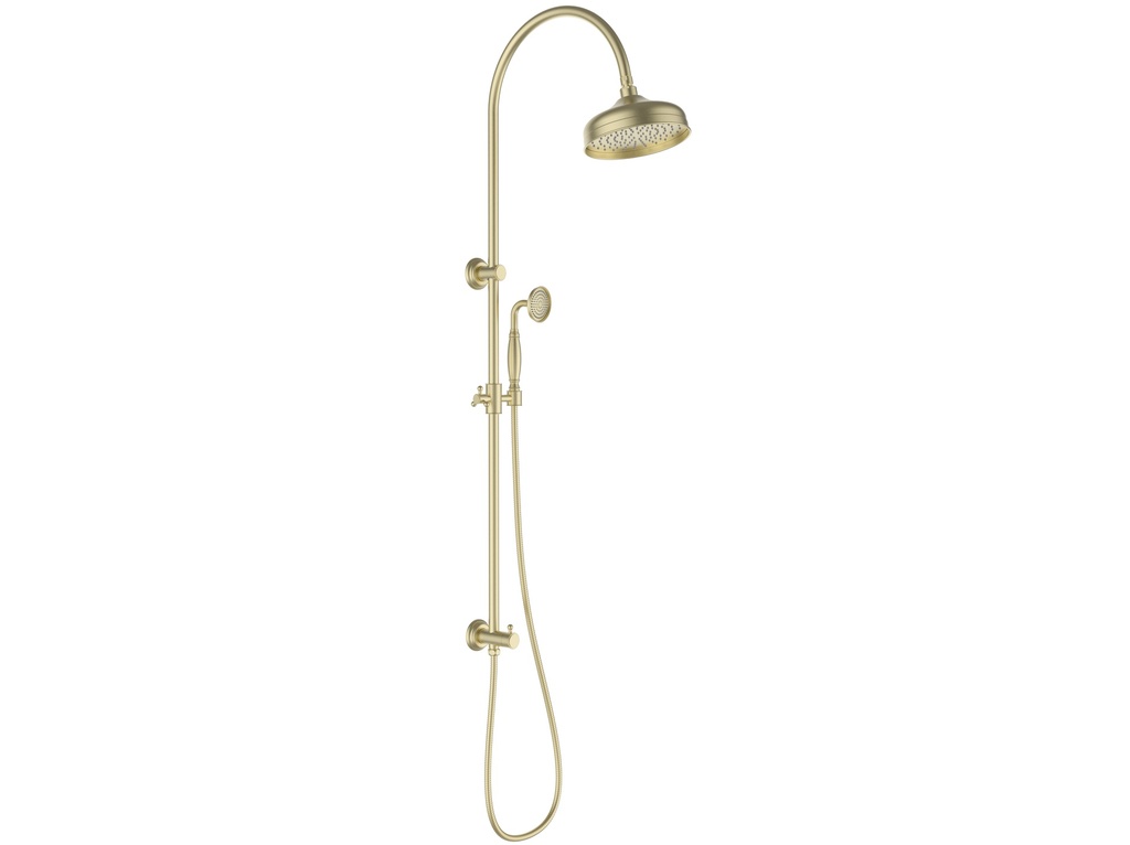 [44223] Clasico Combination Shower Set In Brushed Gold