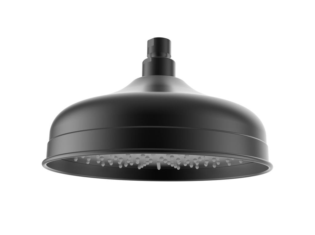[44370] Clasico Shower Head in Matt Black