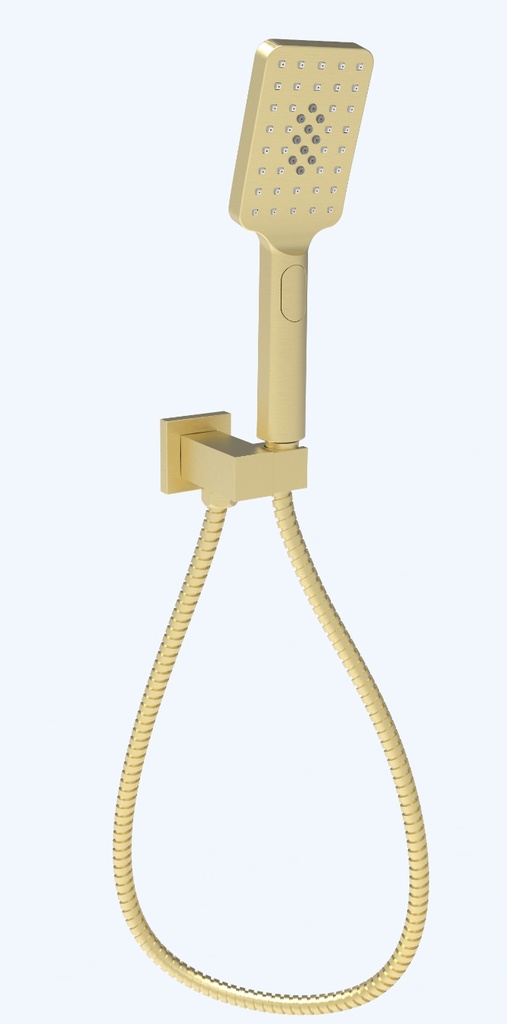 [44394] Eden Handshower On Wall Outlet Bracket Brushed Gold