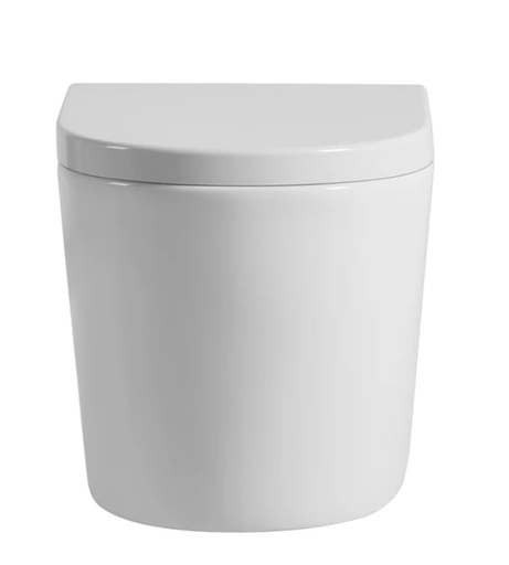 Rimless Wall Hung Pan 4.5/3 Liters Dual Flush Size: 520*360*325mm