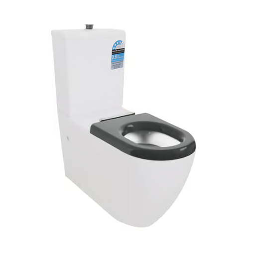 Special Care Disable Rimless Toilet Suite Back/Left and Right Bottom Inlet Cistern; Rimless Flush Pan ; 4.5/3 Liters Dual Flush Size: 810*355*880mm Trap-100: 180-325mm (Supplied); Single Flap Care Seat (Supplied)